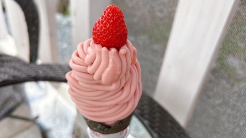 【熊本・合志市】推し活が出来るカフェ！Aioikapi(アイオイカピ)