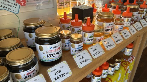 【合志市】はちみつ奥深え〜！国産はちみつ専門店・木箱屋さんで色々教えてもらった！