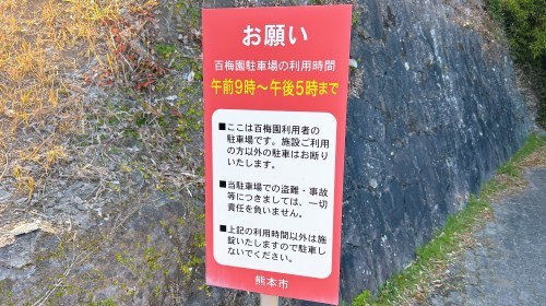 【熊本市西区】梅の花が見頃！島崎の百梅園で春の訪れと共に一足早くお花見してきた