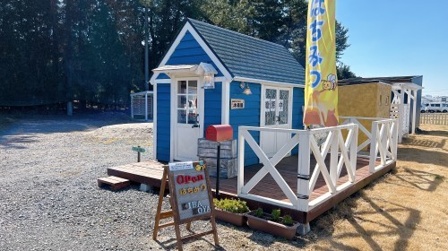 【合志市】はちみつ奥深え〜！国産はちみつ専門店・木箱屋さんで色々教えてもらった！