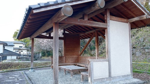 【熊本市西区】梅の花が見頃！島崎の百梅園で春の訪れと共に一足早くお花見してきた