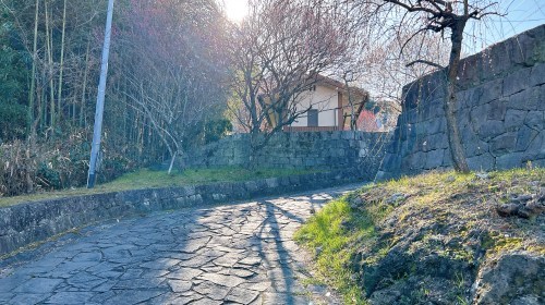 【熊本市西区】梅の花が見頃！島崎の百梅園で春の訪れと共に一足早くお花見してきた