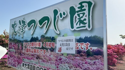 【菊池郡大津町】今が満開！大津つつじ園がいろんな意味でボリュームがすごかった！