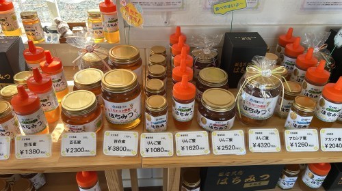 【合志市】はちみつ奥深え〜！国産はちみつ専門店・木箱屋さんで色々教えてもらった！
