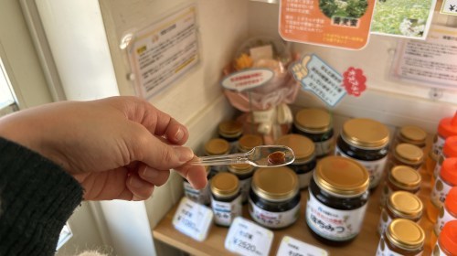 【合志市】はちみつ奥深え〜！国産はちみつ専門店・木箱屋さんで色々教えてもらった！