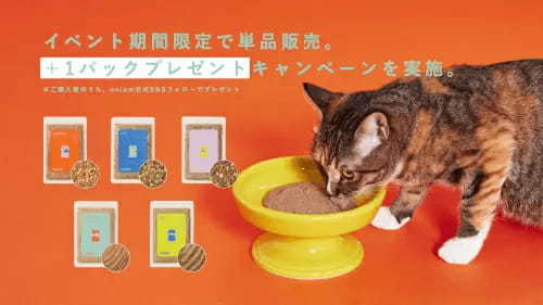 テーマは「猫」、本日からリノベーションの「偏愛くらし展＃猫 byリノベる。」開催