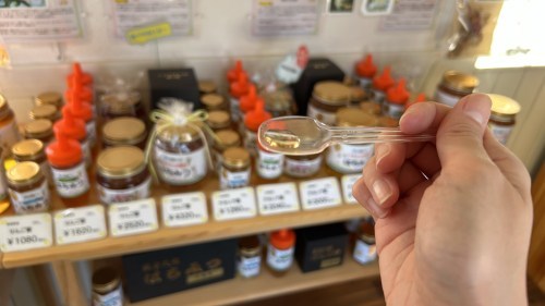 【合志市】はちみつ奥深え〜！国産はちみつ専門店・木箱屋さんで色々教えてもらった！