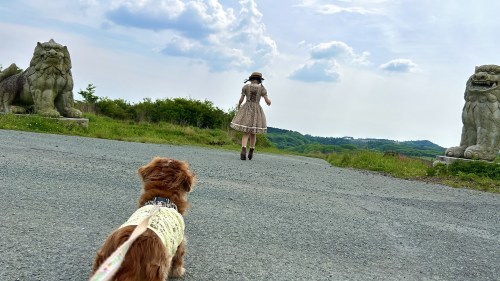 【熊本・阿蘇市】趣味のGoogleマップ散歩してたら発見した巨大狛犬に会いに行った