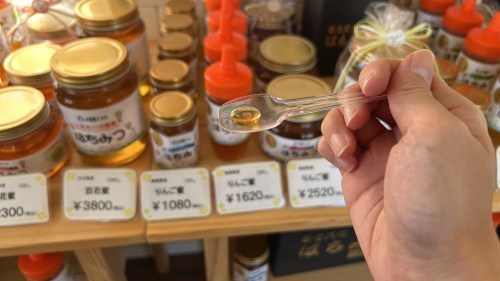 【合志市】はちみつ奥深え〜！国産はちみつ専門店・木箱屋さんで色々教えてもらった！
