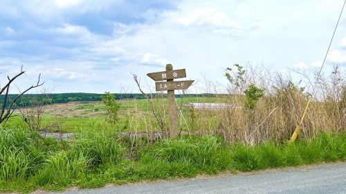 【熊本・阿蘇市】趣味のGoogleマップ散歩してたら発見した巨大狛犬に会いに行った