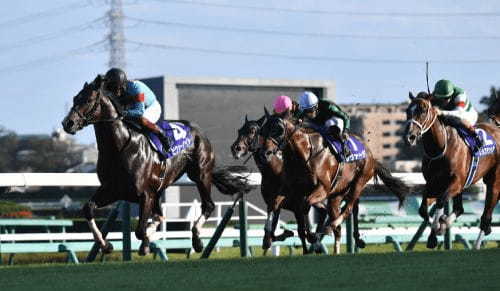 「高い馬は走らない」競馬界最大のミステリー! JRAスプリンターズステークスも高額馬不在、お手頃価格馬の下剋上で万馬券必至!
