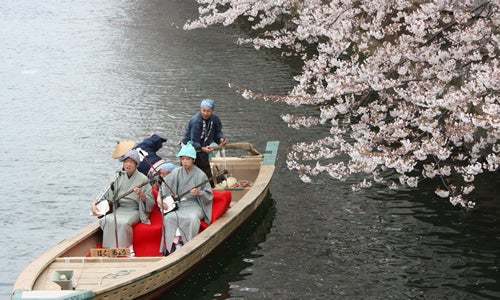 川沿いの桜を江戸風情溢れる和船で満喫「第19回 お江戸深川さくらまつり」3月18日から開催