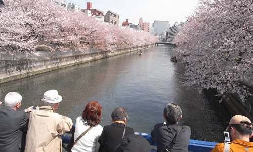 川沿いの桜を江戸風情溢れる和船で満喫「第19回 お江戸深川さくらまつり」3月18日から開催