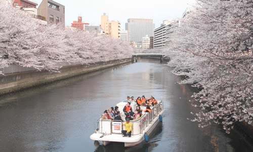 川沿いの桜を江戸風情溢れる和船で満喫「第19回 お江戸深川さくらまつり」3月18日から開催