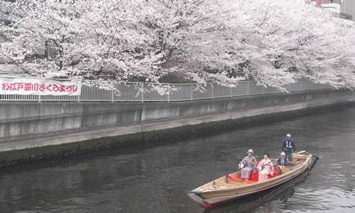 川沿いの桜を江戸風情溢れる和船で満喫「第19回 お江戸深川さくらまつり」3月18日から開催