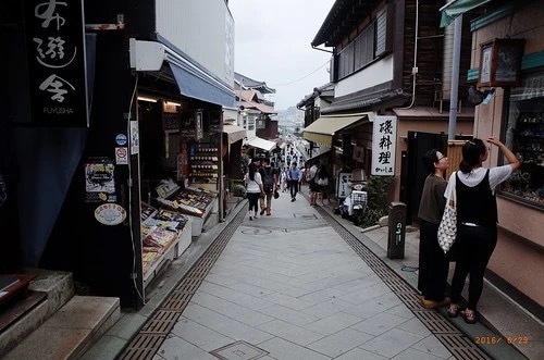 湘南・江ノ島周辺の人気アクティビティ6選！美しい景色&観光も満喫できて超楽しい！