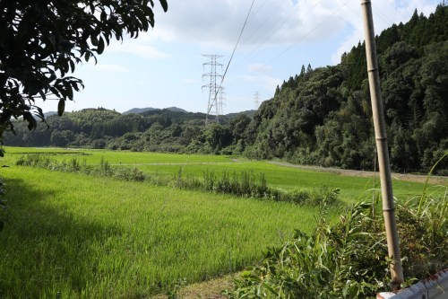 夏が濃くなると美しさが増す場所～下益城郡美里町の「いや川水源」～