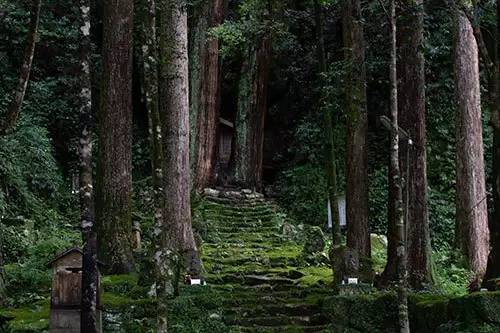 道に迷うのが楽しい！ 田舎暮らしで見つけた徳島の不思議な場所（海部郡編）