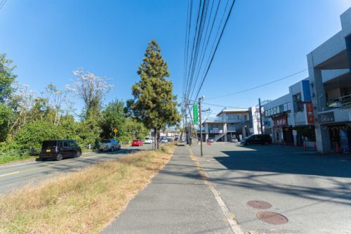 【熊本菊陽町】本当は教えたくない！オシャレで超濃厚な鶏白湯ラーメンが熊本に初上陸【鶏白湯ラーメン神田。】