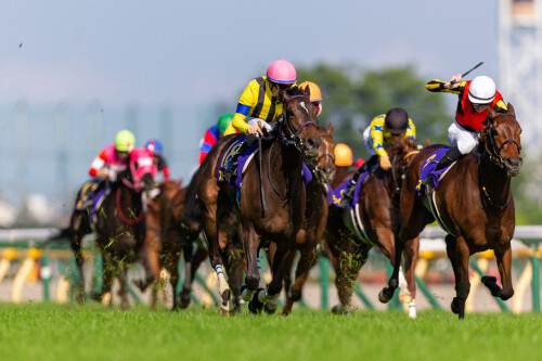 JRA大阪杯―オルフェーヴル、キズナ、キタサンブラックら名馬が勝利したレースに異変! 今年の2冠牝馬スターズオンアースに危険信号か!?