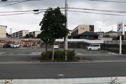 今、蓮が沢山咲いています！急いでハスっていきましょう！～熊本市北区高平　高平台校区坪井川遊水地花公園～