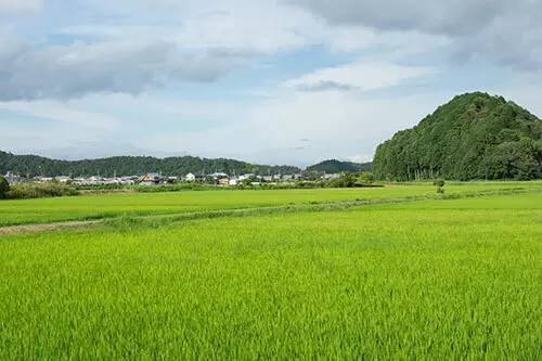 道に迷うのが楽しい！ 田舎暮らしで見つけた徳島の不思議な場所（海部郡編）