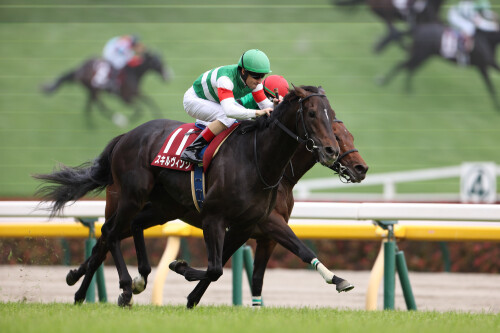 JRA日本ダービー「4強対決なら武豊が勝つ!」 アドマイヤベガの奇跡でわかるレジェンドジョッキーの勝負強さ