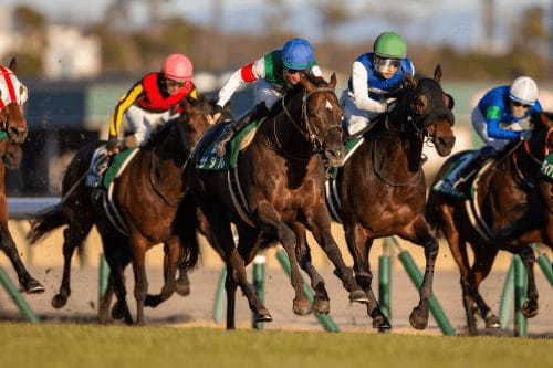 有馬記念で2500万円ゲット！武豊マジック炸裂！次の衝撃はお年玉レースの“金杯”、過去10年全て万馬券決着！