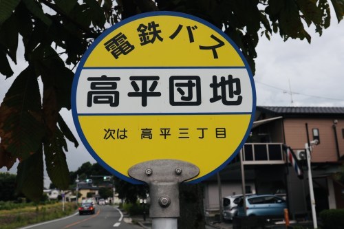 今、蓮が沢山咲いています！急いでハスっていきましょう！～熊本市北区高平　高平台校区坪井川遊水地花公園～