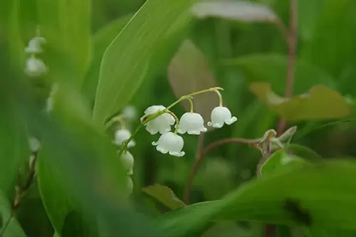 そろそろ梅雨の季節、だけど雨の日も楽しい八ヶ岳