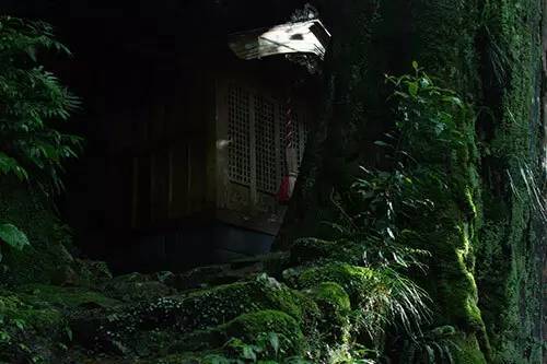 道に迷うのが楽しい！ 田舎暮らしで見つけた徳島の不思議な場所（海部郡編）