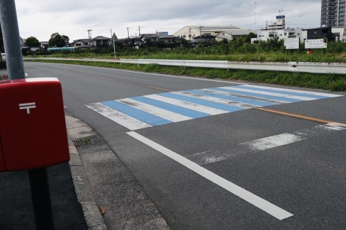 今、蓮が沢山咲いています！急いでハスっていきましょう！～熊本市北区高平　高平台校区坪井川遊水地花公園～