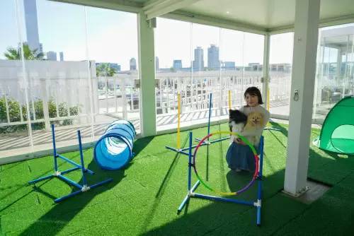 子どもとワンちゃん専用の「室内遊び場」誕生！ 東京・「キラナガーデン豊洲」に