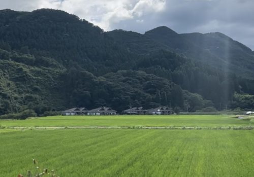 【山鹿市鹿北町】お茶農家さんのティースタンドで味わうかき氷が絶品すぎた。小山製茶「日本茶専門店-satsuki-」