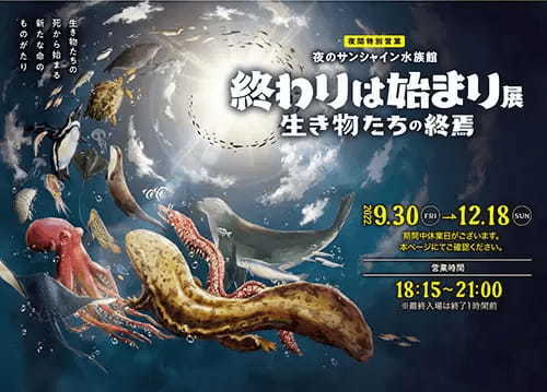 「生きること」を考えるきっかけに、サンシャイン水族館で夜間限定のイベント