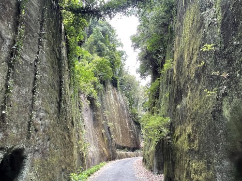 魂が震えるほどの切り口で夏を吸う　～山鹿市菊鹿町木野　岩隈山の切り通し～