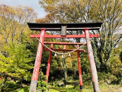 朱色の誘惑、危険な散歩道～阿蘇市一の宮　三閑稲荷神社～