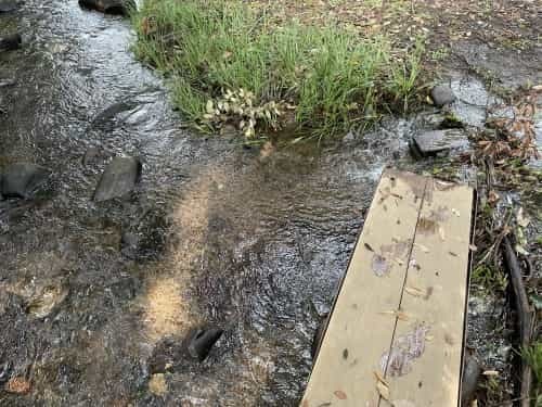 滞った何かを流してくれる場所～菊池郡大津町　矢護川公園、初生神社～