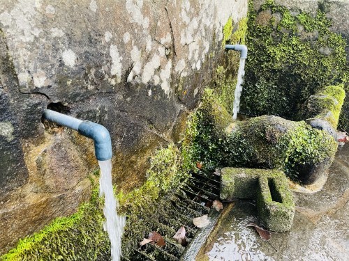 54年と8ヶ月6日5時間32分20秒3、あなたと前だけを見て、水も飲まずに走り続けた～金栗四三ゆかりの地　小田瀬戸口公園～