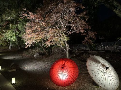 【秋のくまもとお城まつり】今年見らんと次は数年後になるてたい…竹あかりのライトアップで旧細川刑部邸が幻想的すぎる…！