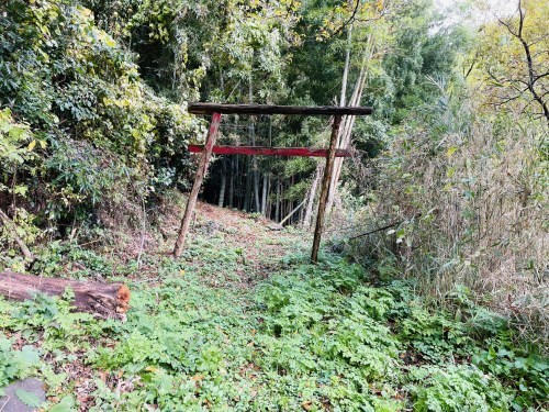 朱色の誘惑、危険な散歩道～阿蘇市一の宮　三閑稲荷神社～