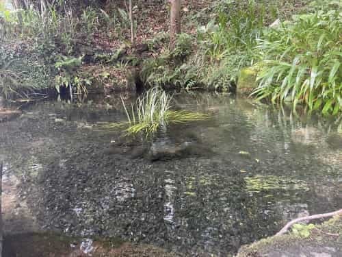 限りなく透明に近いブルー。と、絶対に言いたくなる場所　～明神池名水公園、群塚神社～