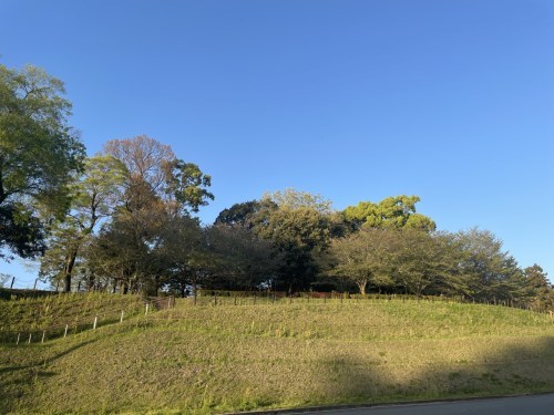 【合志市】速報今はつつじ！夕暮れの蛇ノ尾公園（ジャノオコウエン）が四季を楽しみにさせてくれる作りで素敵！