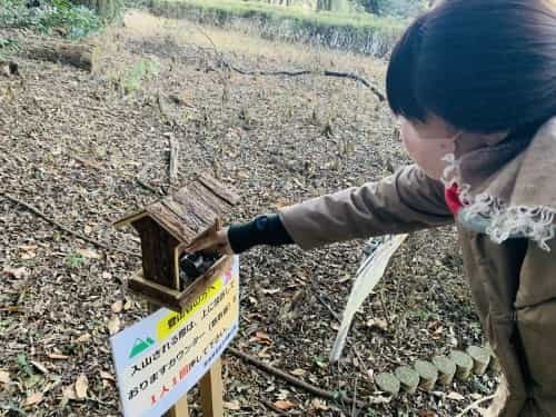 運動不足だなんて、岩せない。～熊本市総合運動公園　謎の大岩～