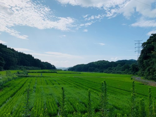 夏が濃くなると美しさが増す場所～下益城郡美里町の「いや川水源」～