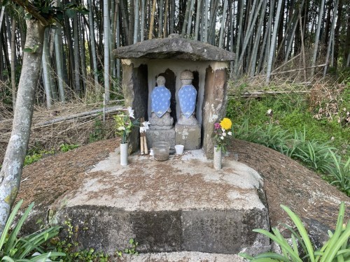 【菊池市】メェ～メェ～呼び続ける私を見つけて～東山公園　メェ～メェ～広場～