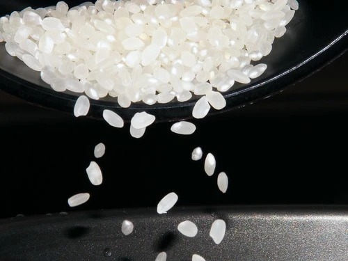 米びつを開けたらダニ！？原因と対策方法を紹介！虫がわいたお米は食べれる？