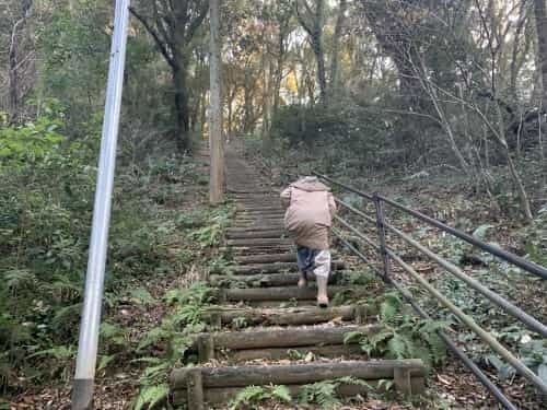 運動不足だなんて、岩せない。～熊本市総合運動公園　謎の大岩～