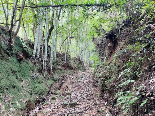 【山鹿市】期間限定の御朱印を求めて「彦嶽宮」へ。予期せず山登りをしてきた話。