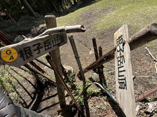 阿蘇山という山はない！阿蘇五岳「根子岳」に登ってきた。